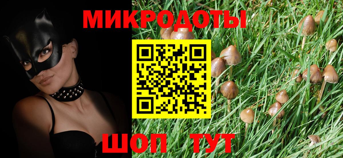 Псилоцибиновые грибы Psilocybe Семёнов